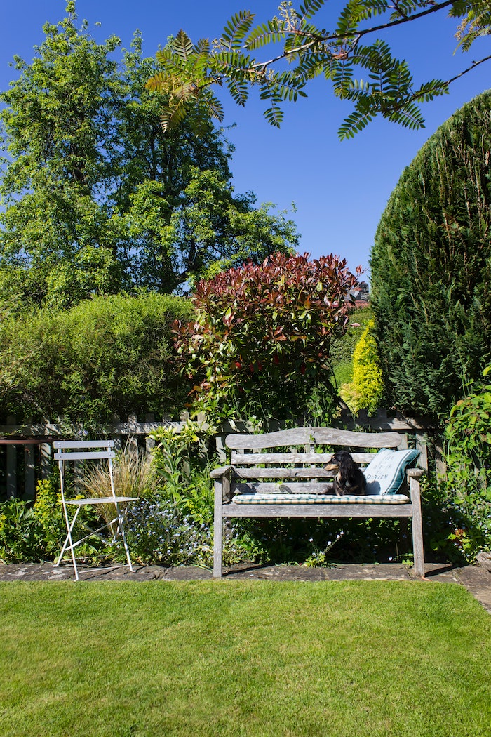 garden bench in an english garden