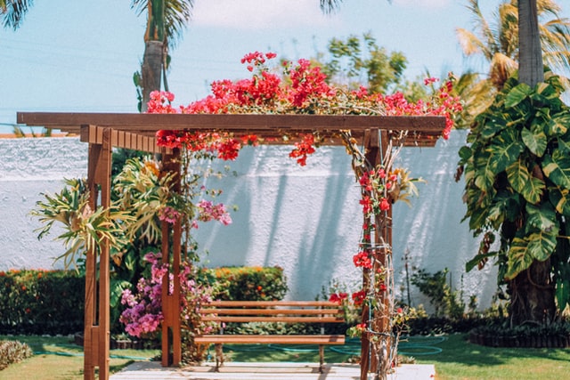 pergola-covered-in-flowers