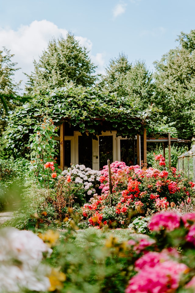 English-garden-with-blooms