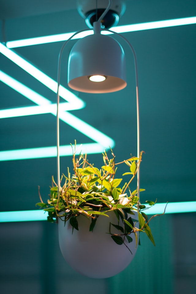 vertical-herb-garden-hanging