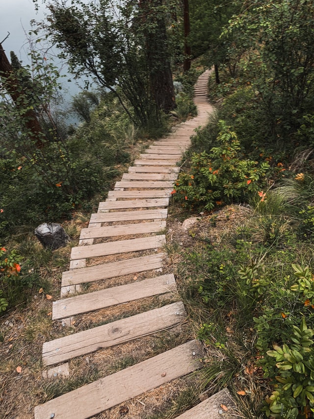 timber-garden-path