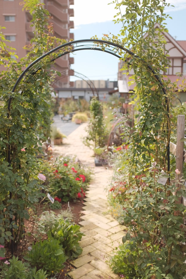 garden-path-with-arch