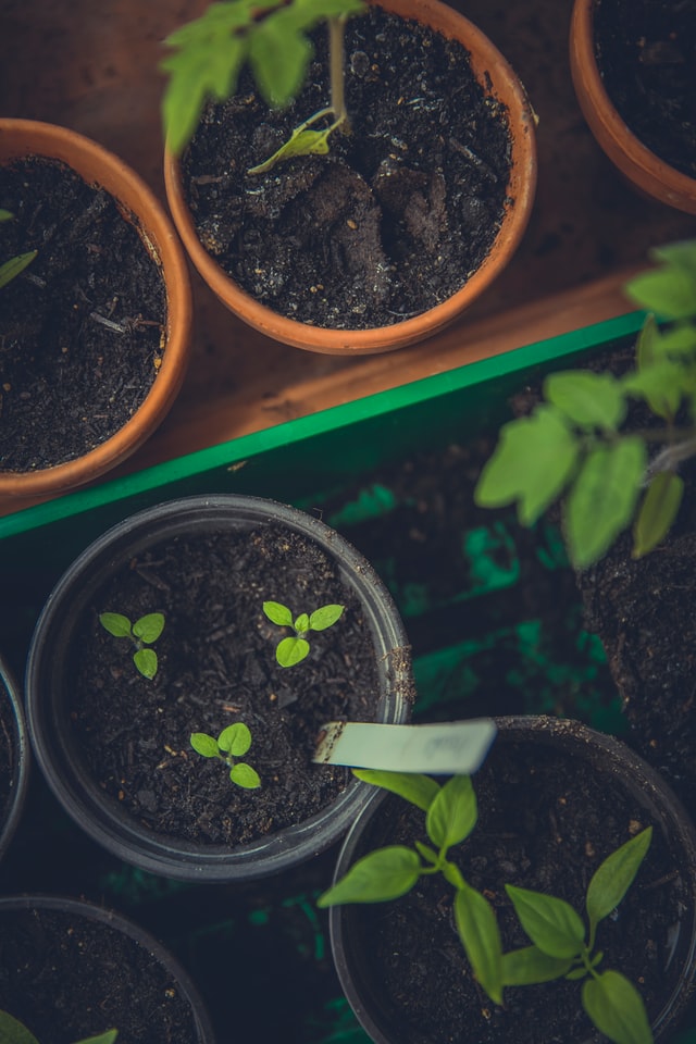 pallet-garden-labels