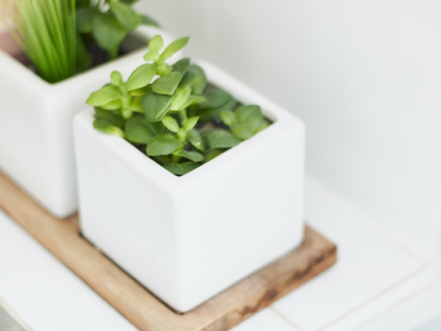 herb-garden-white-pots