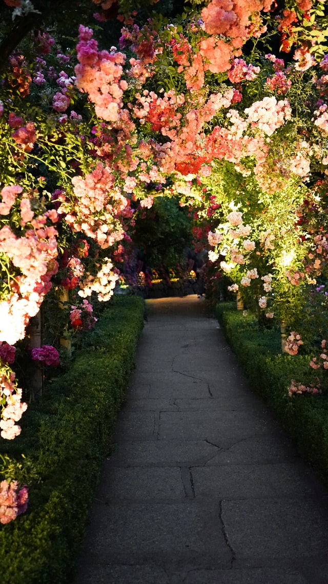 garden-path-ideas-flowers