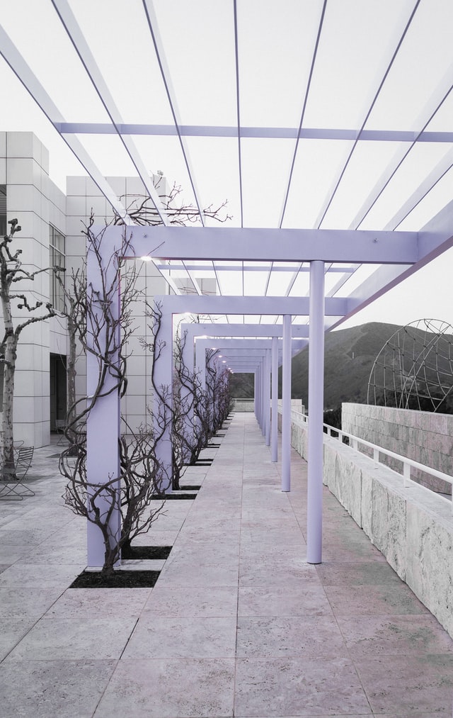 purple-pergola