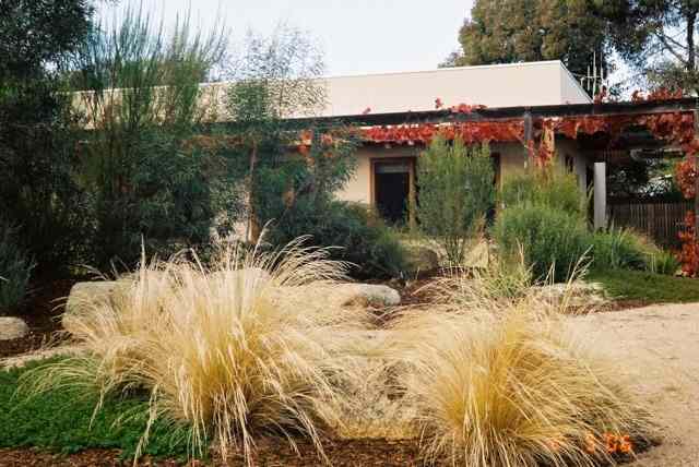 munro court native garden