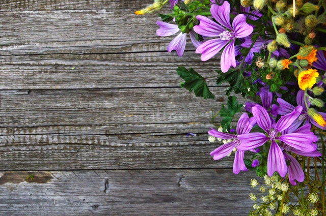 pallet-garden-flowers