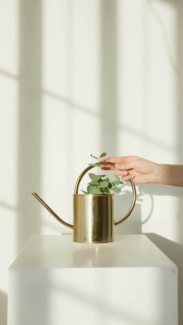 watering-can-herb-garden-planter