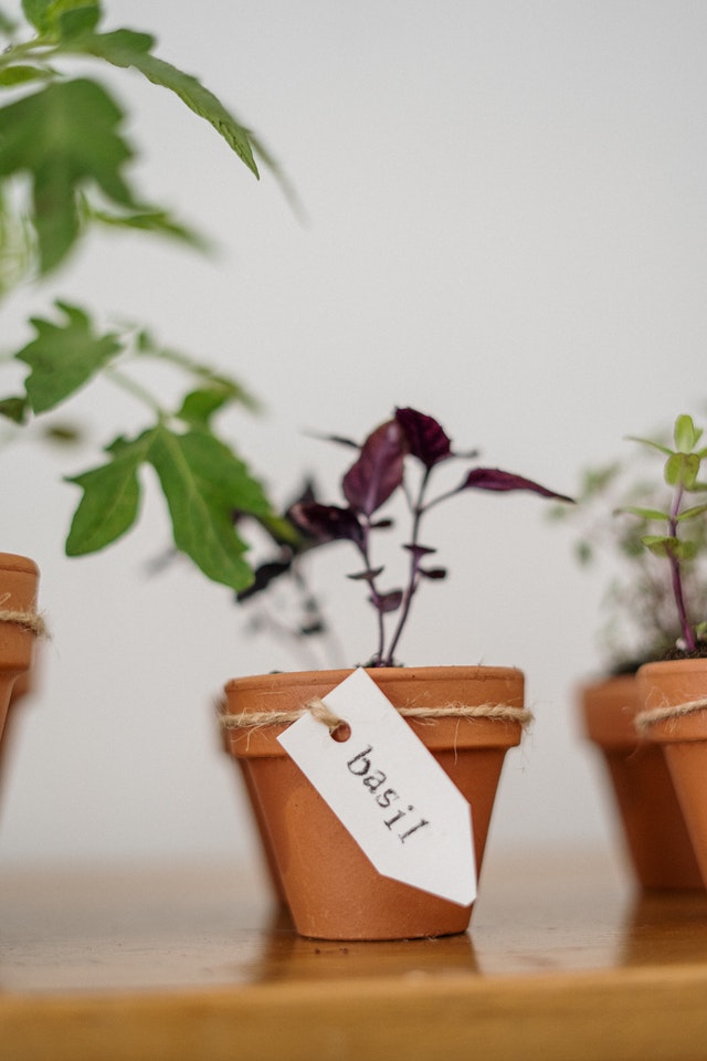 vertical-herb-garden-terracotta