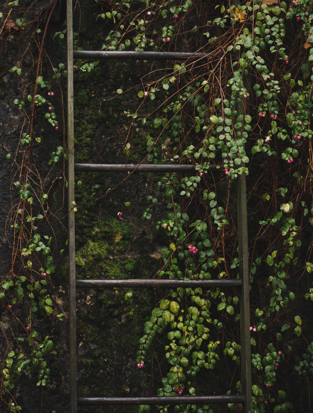 vertical-herb-garden-ladder