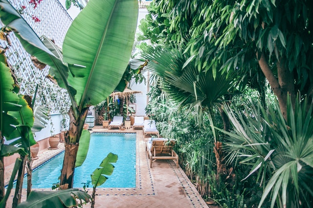 pool-ideas-tropical-vibes