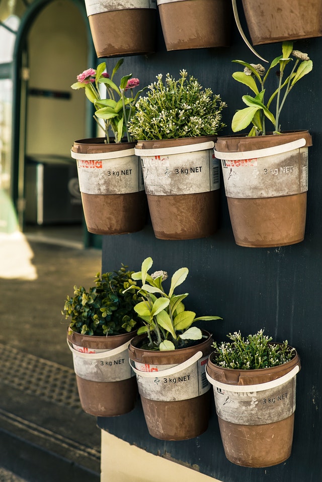 vertical-herb-garden-pockets