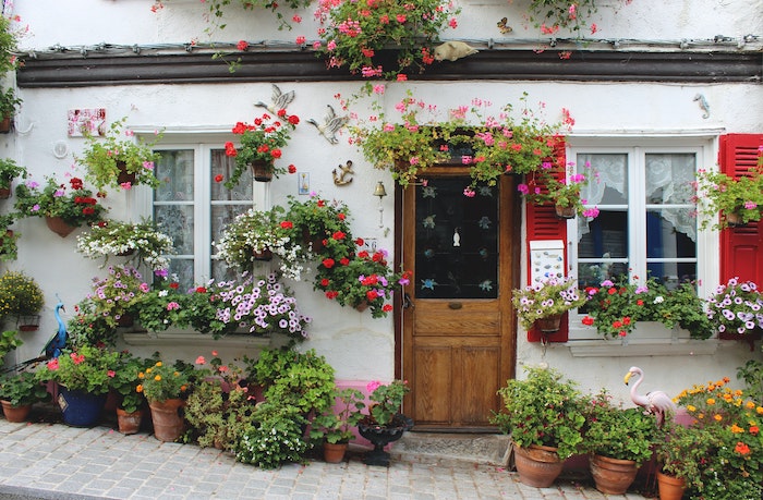 potted-plants