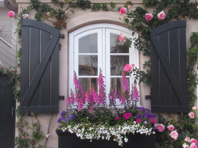 English-garden-windowbox