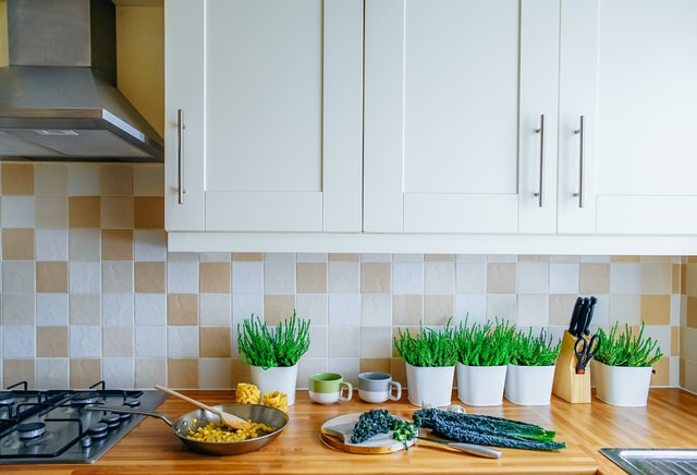 herb-garden-kitchen-counter