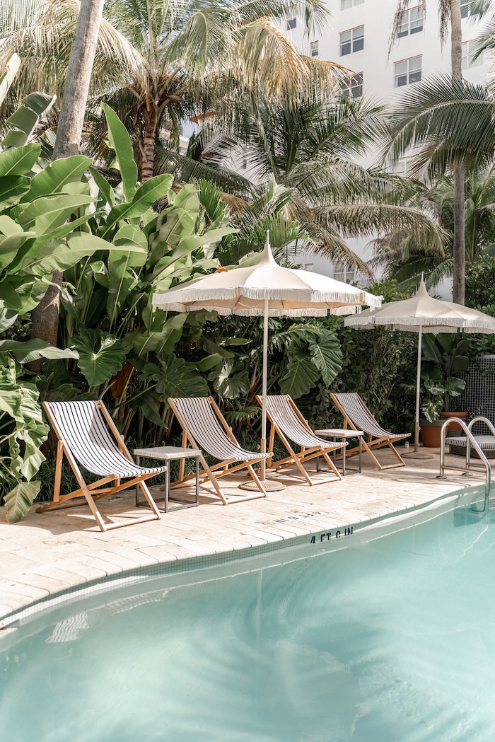 trees by pool