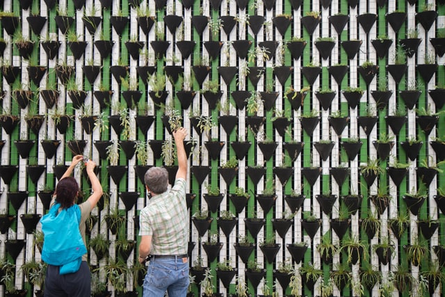 vertical-garden-wall