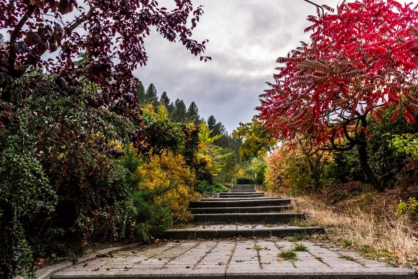 native-garden-classic-colours