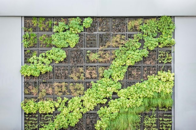 vertical-garden-full-wall