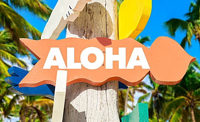 Aloha signpost with palm trees