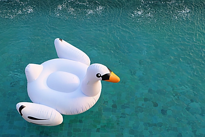 A beautiful white swan pool float on emerald clear water.