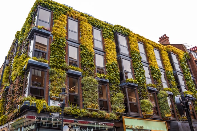 vertical-garden-facade