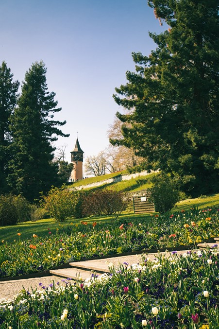 terraced-garden-gentle-slope