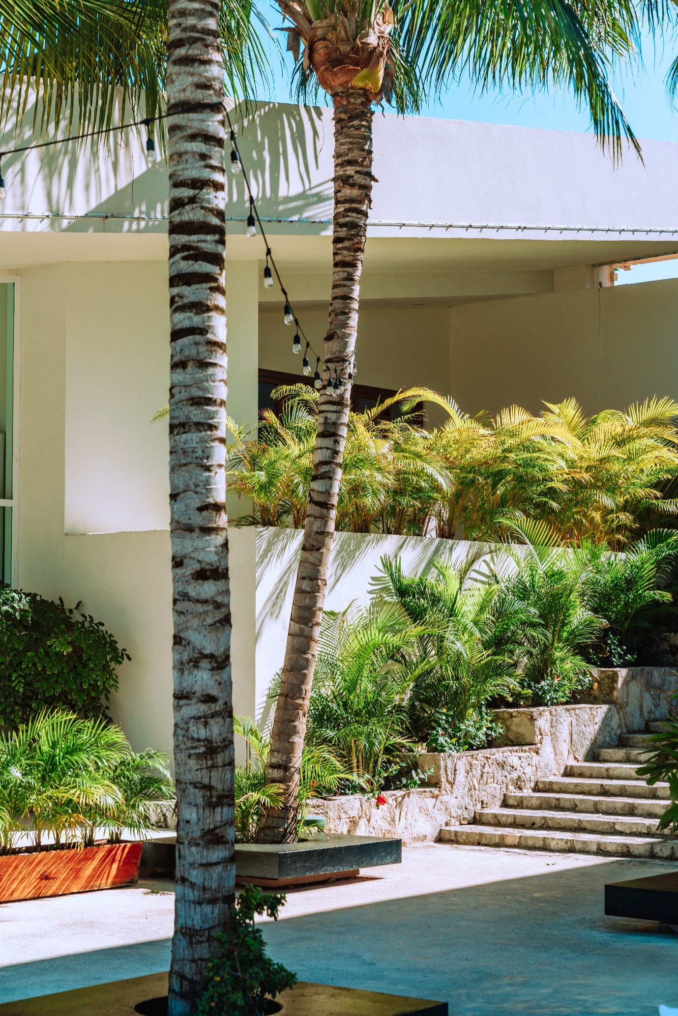 terraced-garden-modern