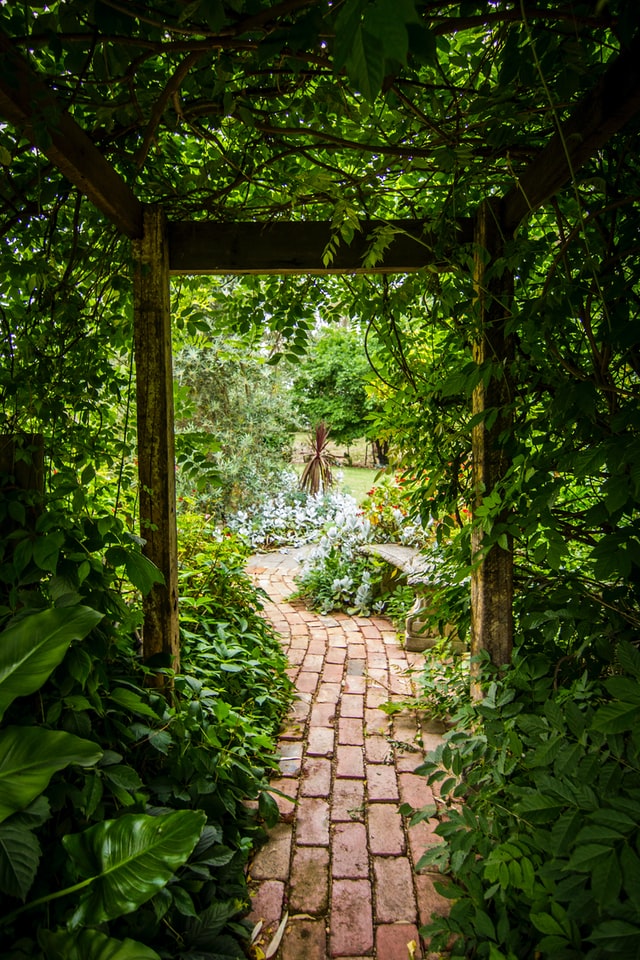 vertical-garden-arbors