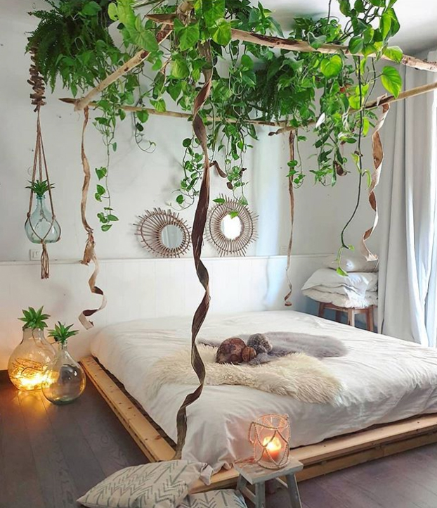 35+ Bedroom plants