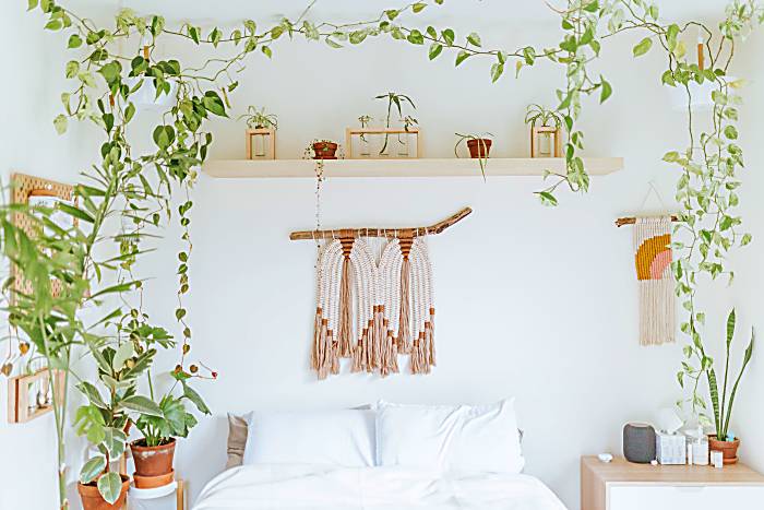 plants in boho bedroom