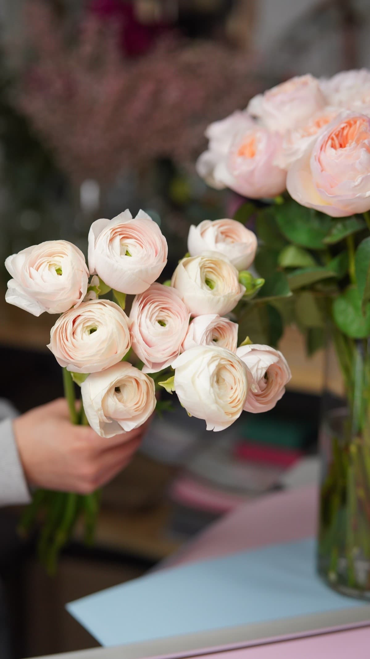 garden-flowers-ranunculus