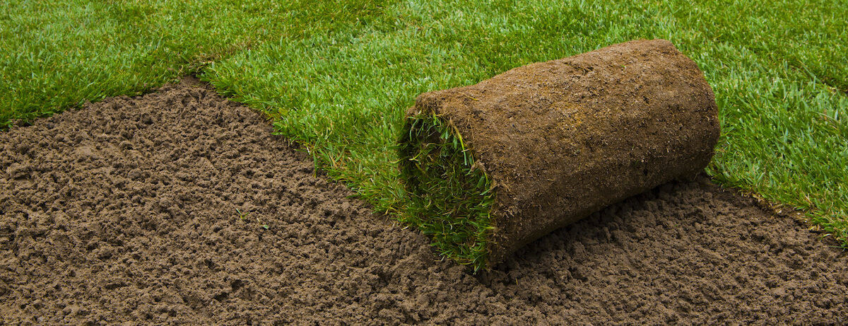 How to lay turf in your garden