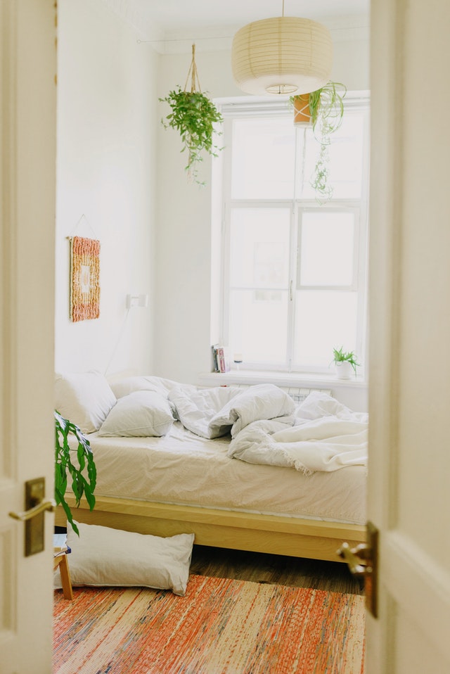 hanging bedroom plants