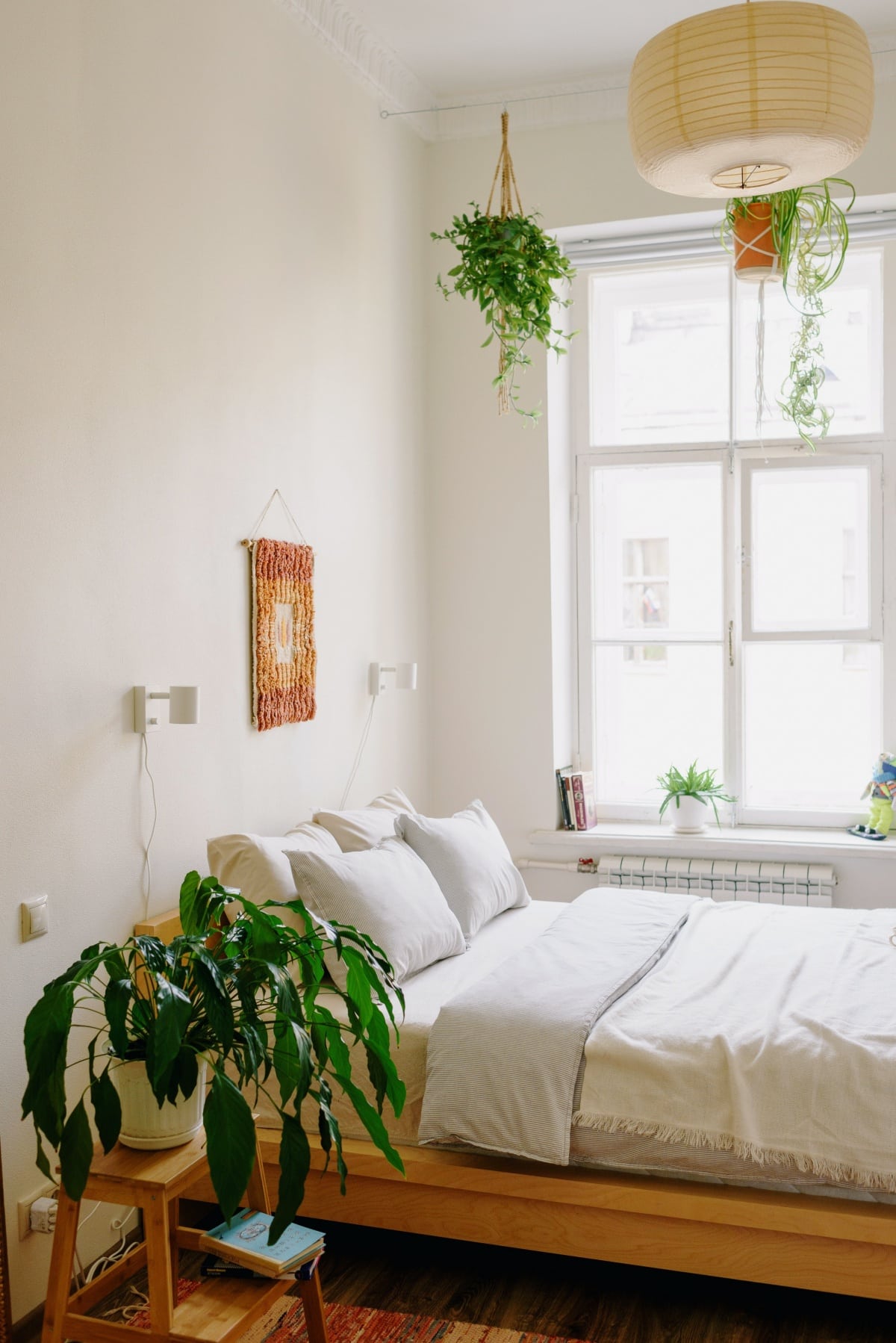 Plant situated in the corner of a bedroom