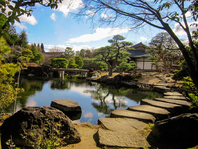 backyard-ponds-stepping-stones