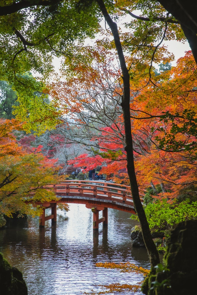 backyard-ponds-japandi