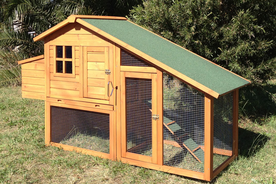 Deluxe chicken coop