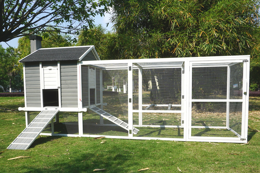 Standford chicken coop