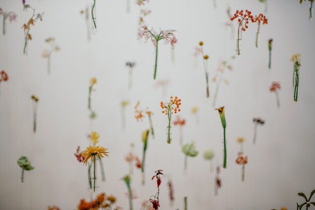 hallway-wallpaper-floral