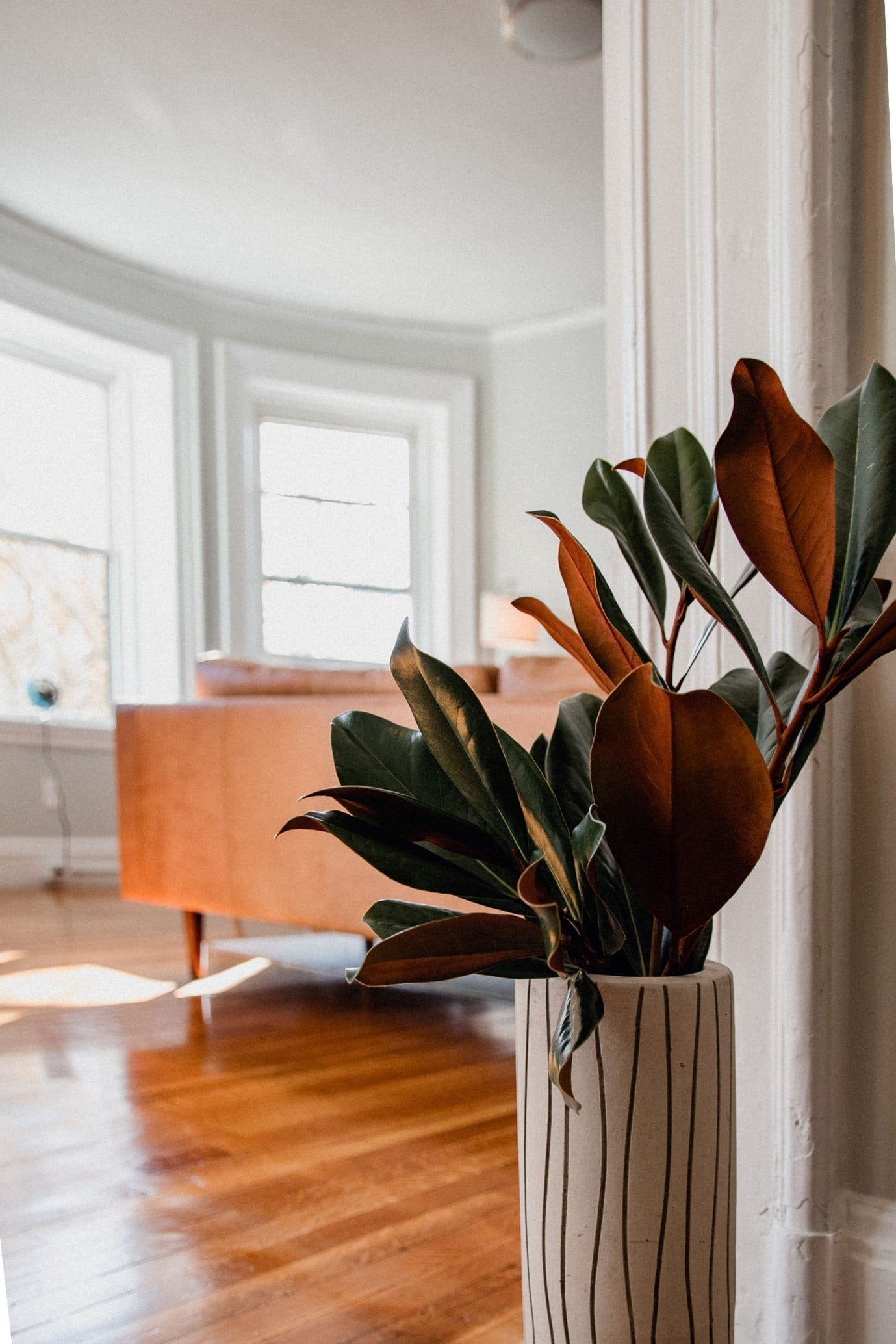 boho-dining-room-foliage