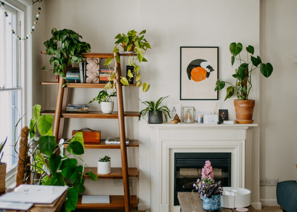 Plants next to fireplace