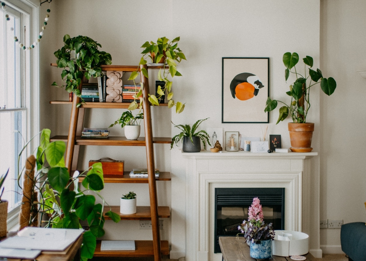 indoor plants by fireplace