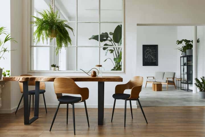 Stylish and botany interior of dining room