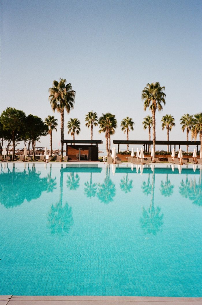 cactus-garden-poolside