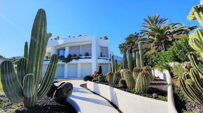 cactus-garden-sculptural