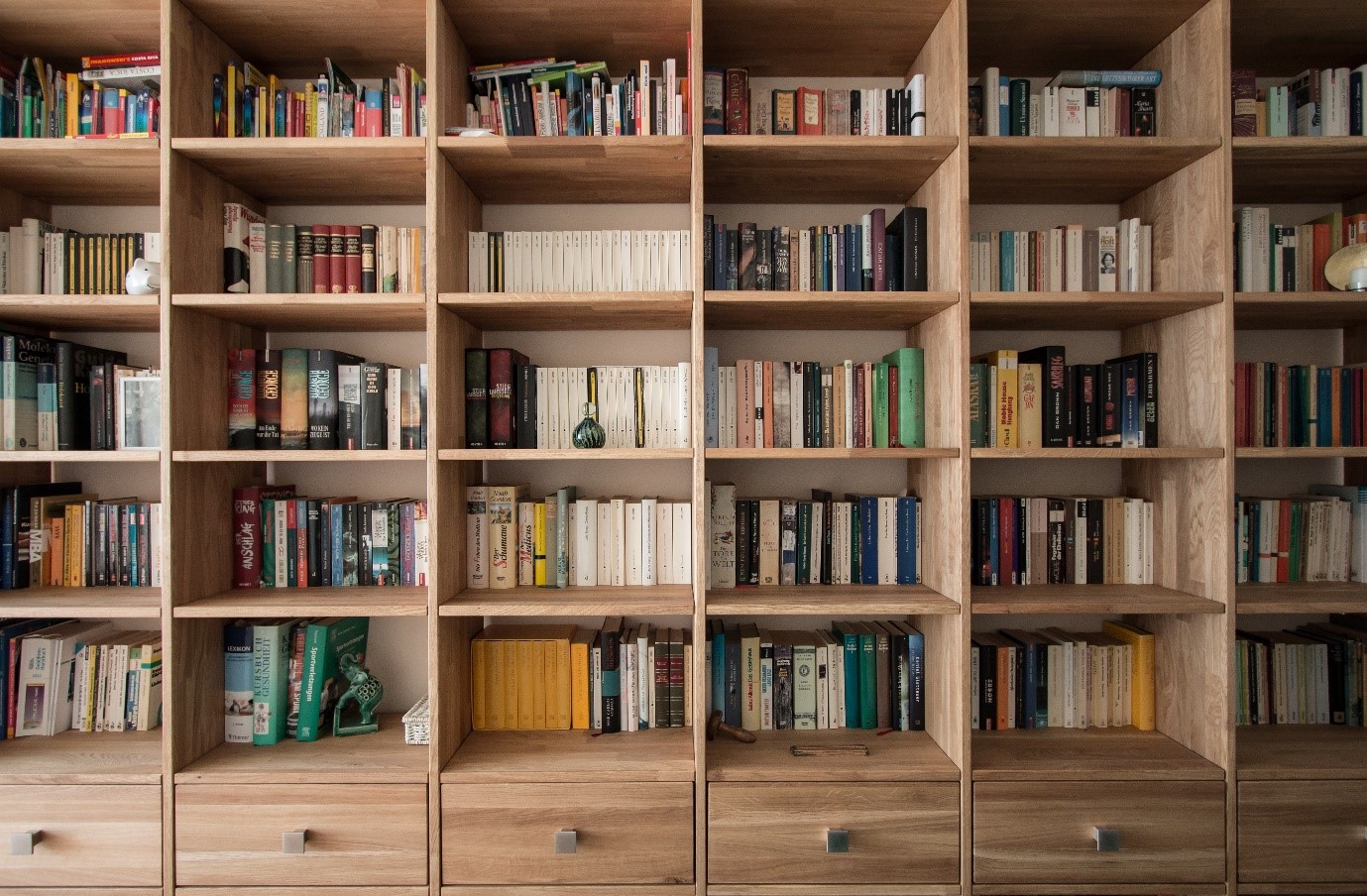 home-library-raw-timber-shelving