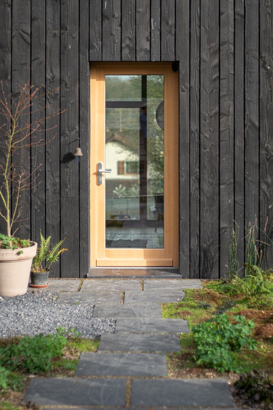 front-door-larch-timber