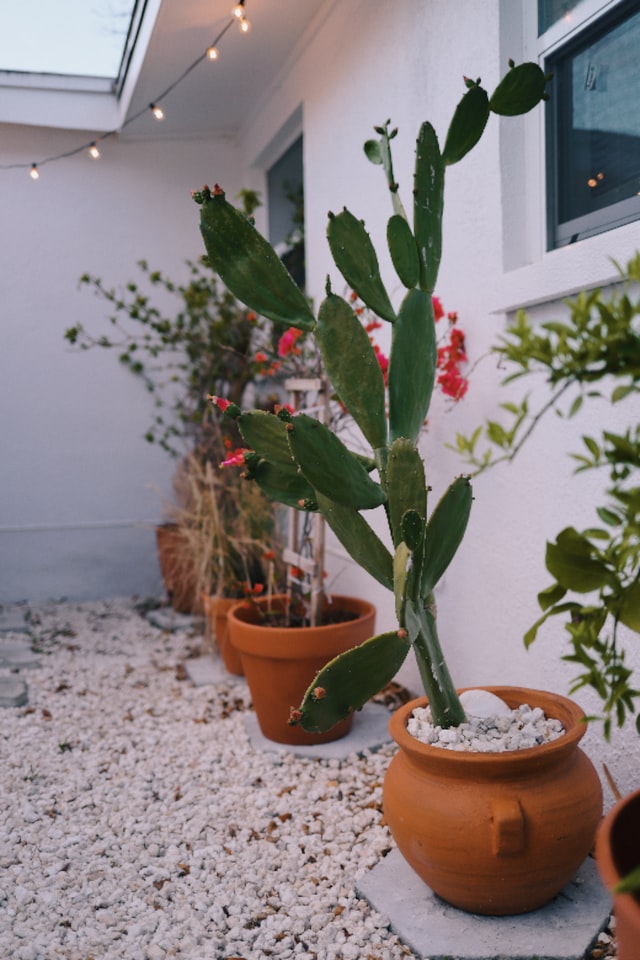 gravel-garden-courtyard